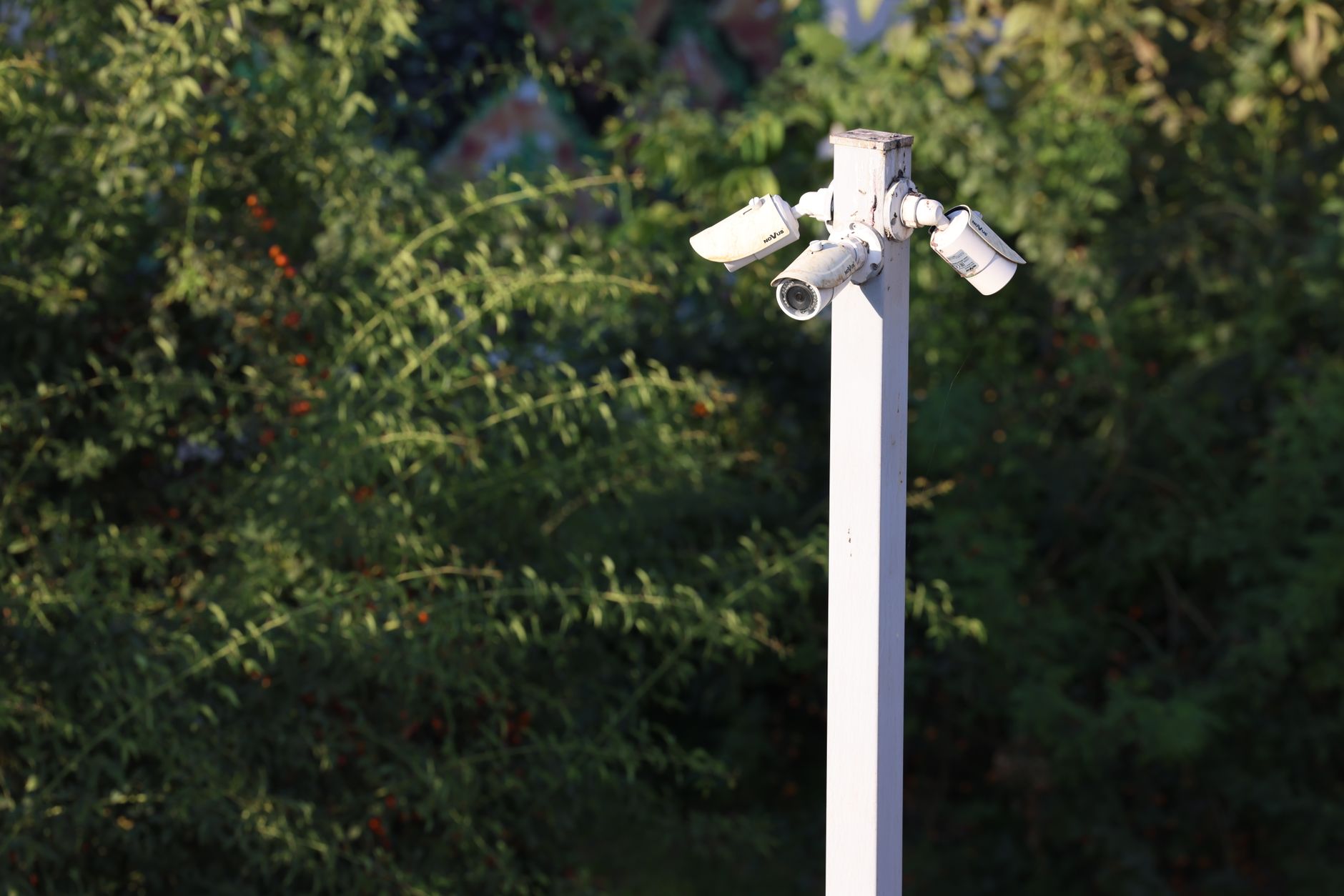 Lợi ích cụ thể khi triển khai camera AI an toàn lao động