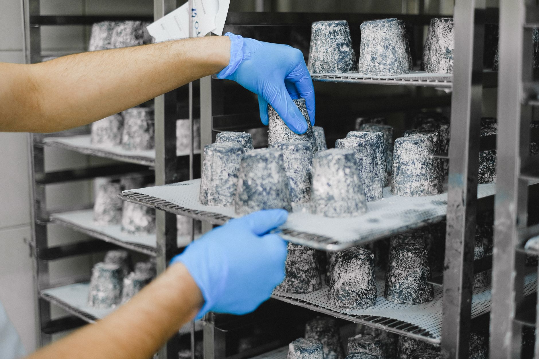 HACCP và FDA yêu cầu gì về kiểm soát tạp chất vật lý?