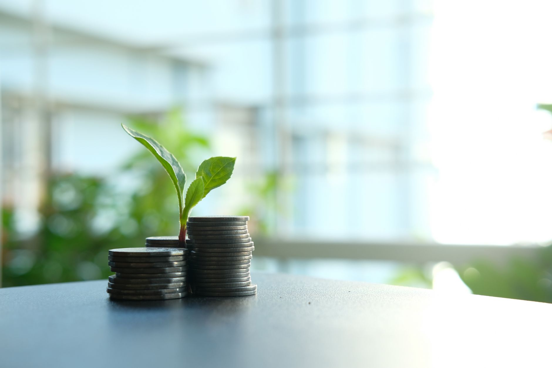 Chi phí đầu tư và ROI cho chuỗi 20 cửa hàng