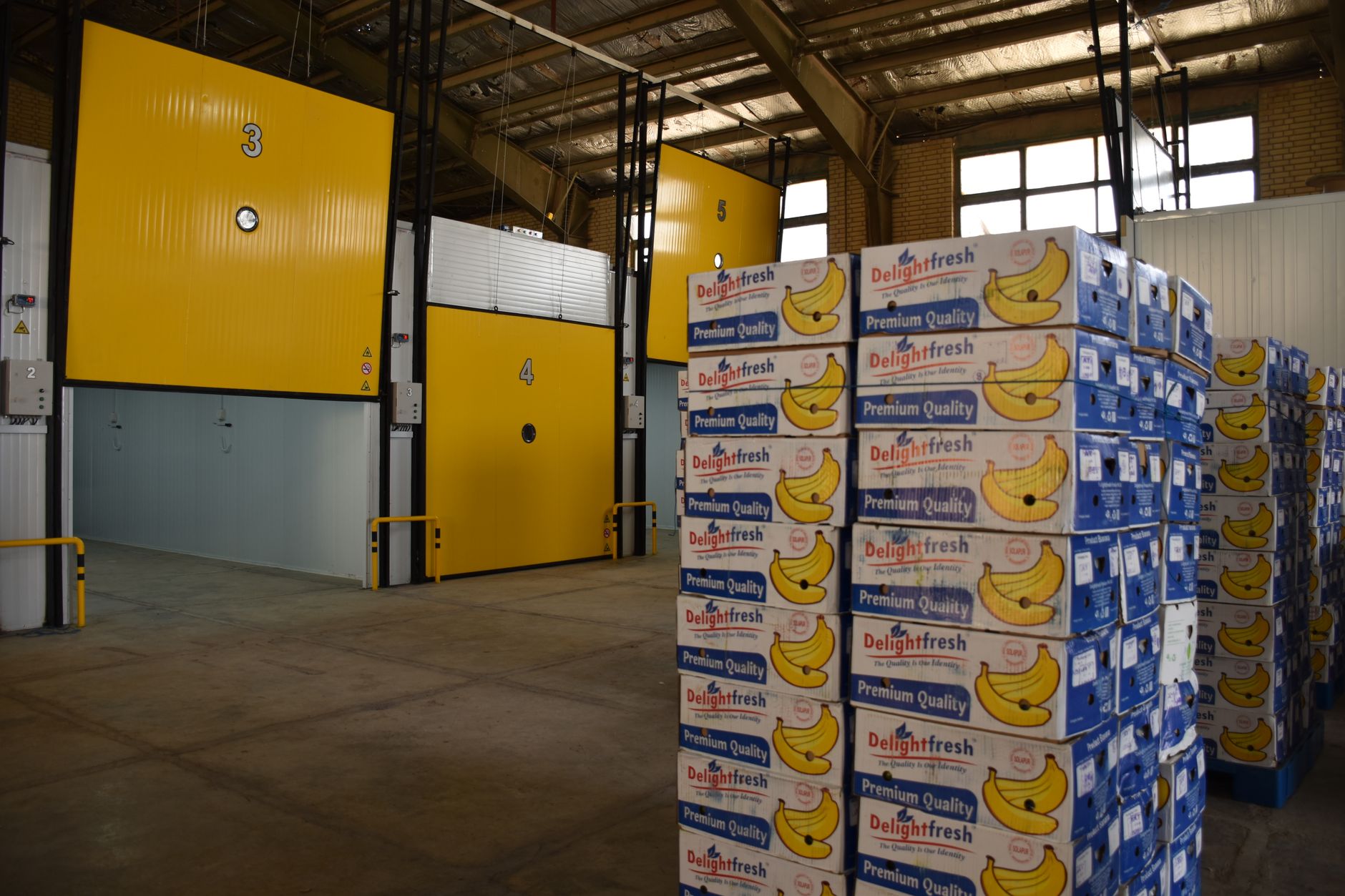 Ứng dụng thực tế: Tem RFID chịu lạnh cho ngành nào?