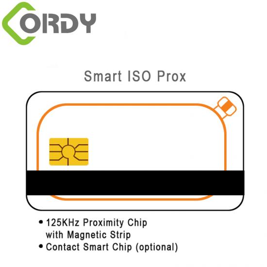 RFID Card with Dual Chipsets, Magnetic Stripe and Contact IC - image 2