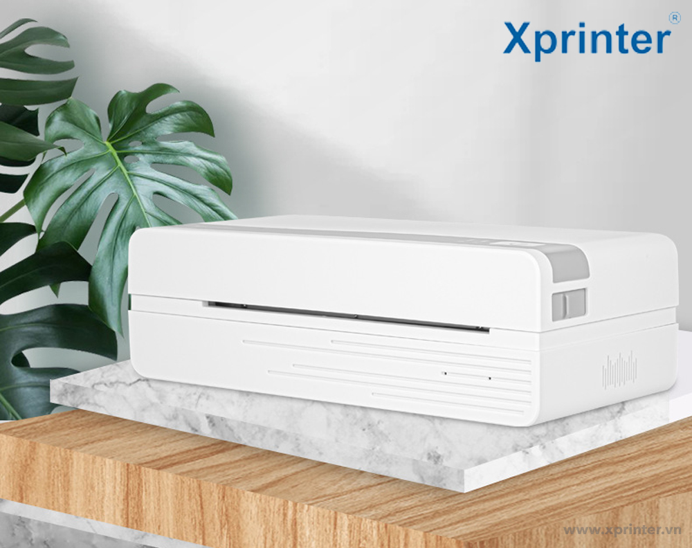 Xprinter XP-D81 라벨 프린터 정품 - 이미지 3