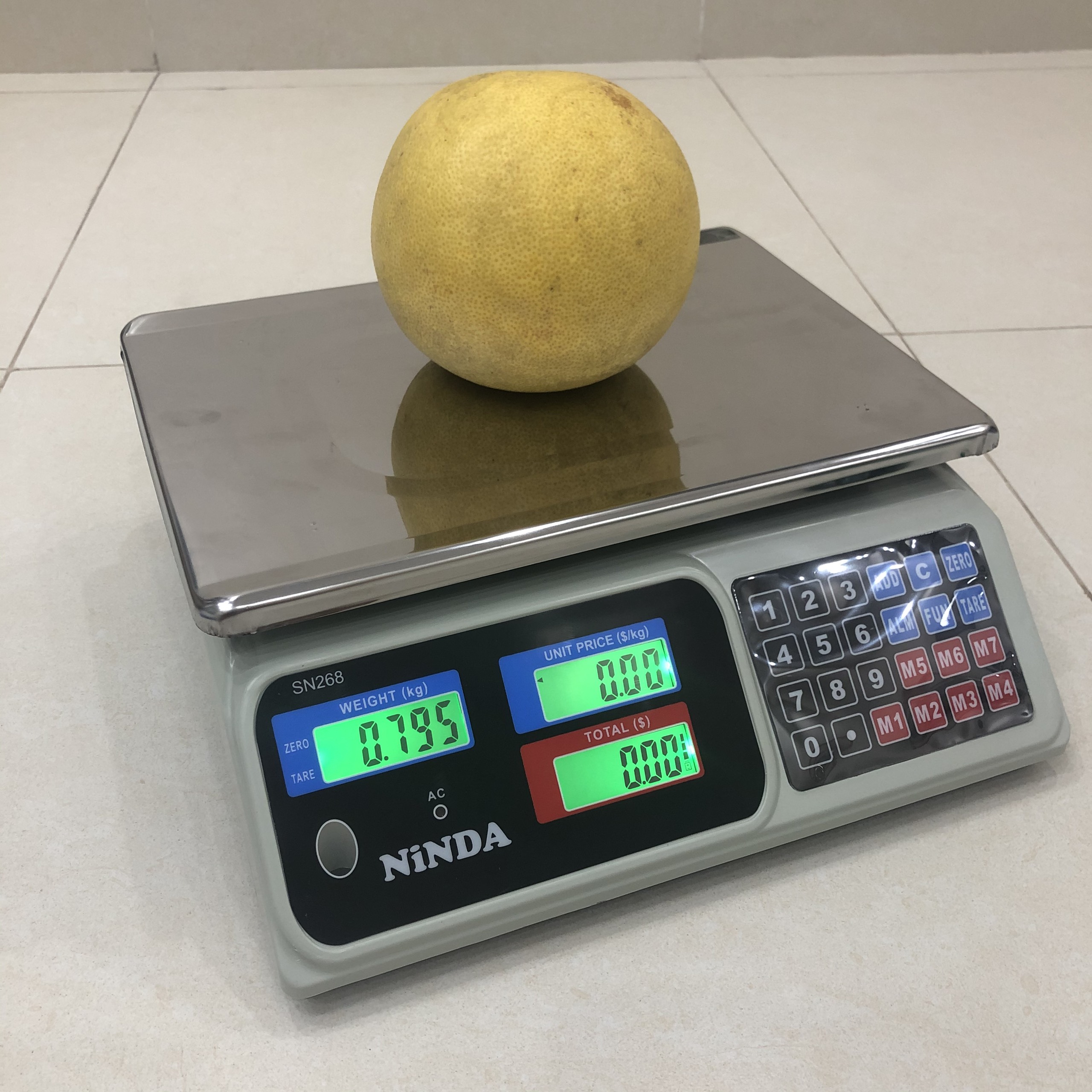 ACS 268 Price Computing Scale 2