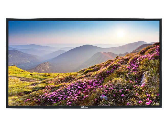Màn hình trình chiếu ZD75-4K-P