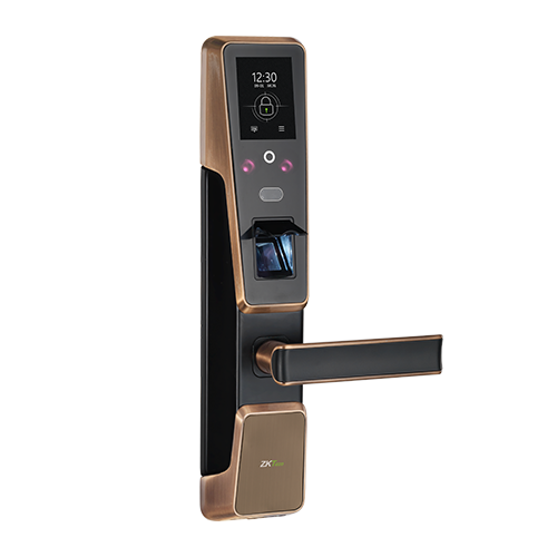 Smart Door Lock ZM100 2