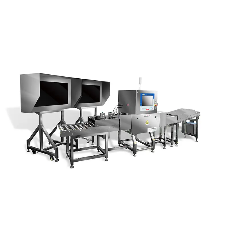 Máy X-ray phát hiện xương cá TECHIK Fish Bone X-Ray Inspection System